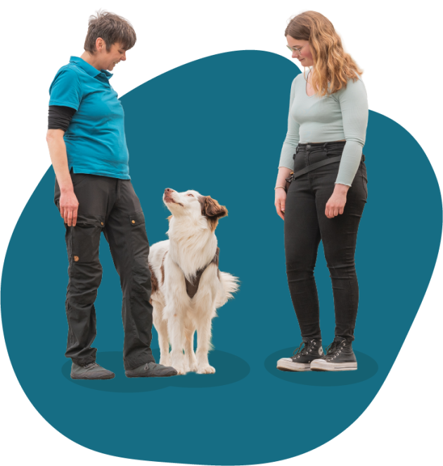 Hundetrainerin in der Weiterbildung mit Kundin und Hund im Training