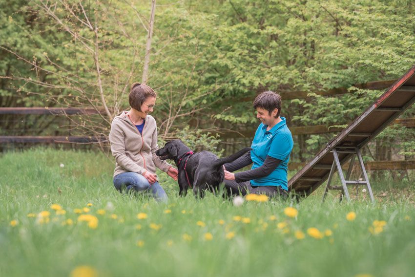 Hundetrainer im Coaching mit Kundin und Hund im Einzeltraining
