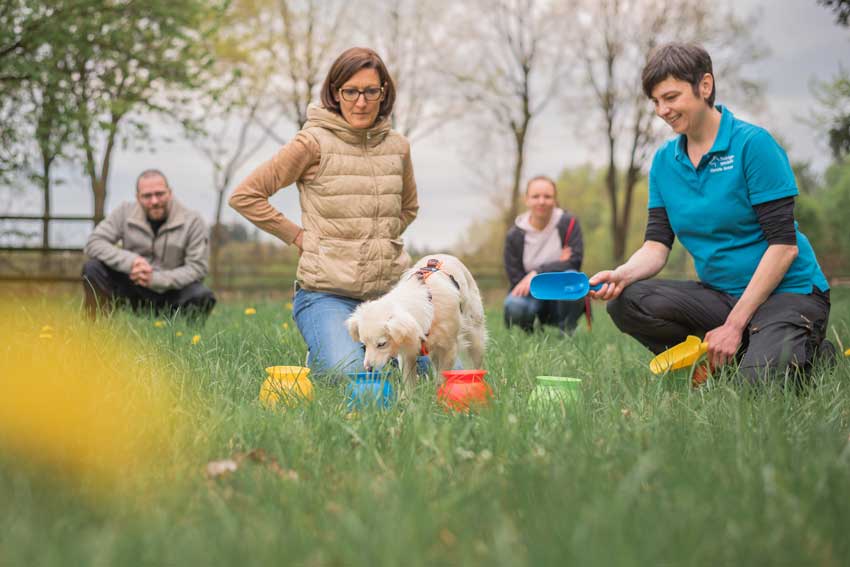 Locken im Hundetraining vermitteln: Trainerin begleitet ein Mensch-Hund-Team im Kurs