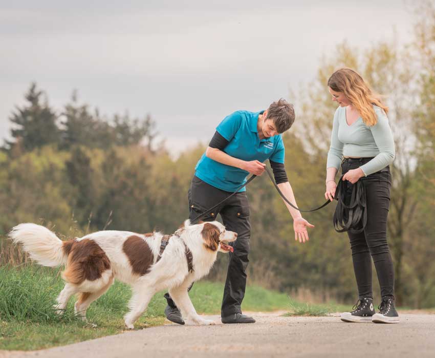 Hundetrainerin im Training mit einer Kundin und ihrem Hund auf der Wiese