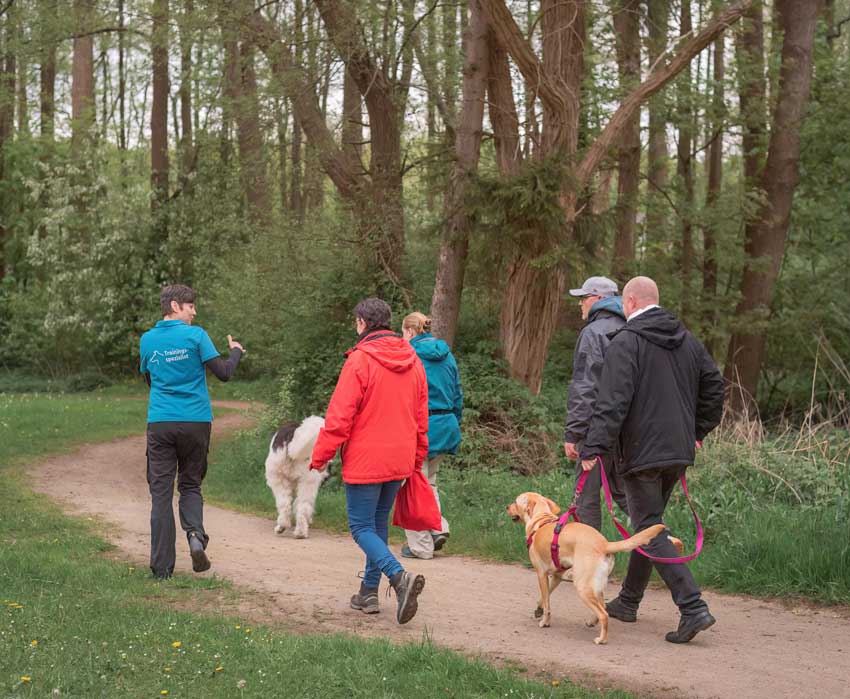 Trainerin führt eine Gruppe von Mensch-Hund-Teams beim Gruppentraining durch den Wald