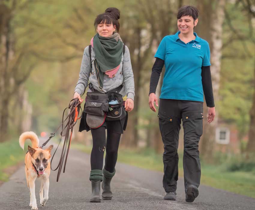 Coaching und Weiterbildung für Hundetrainer im Alltag Training mit Hund im Spaziergang und Praxisbegleitung