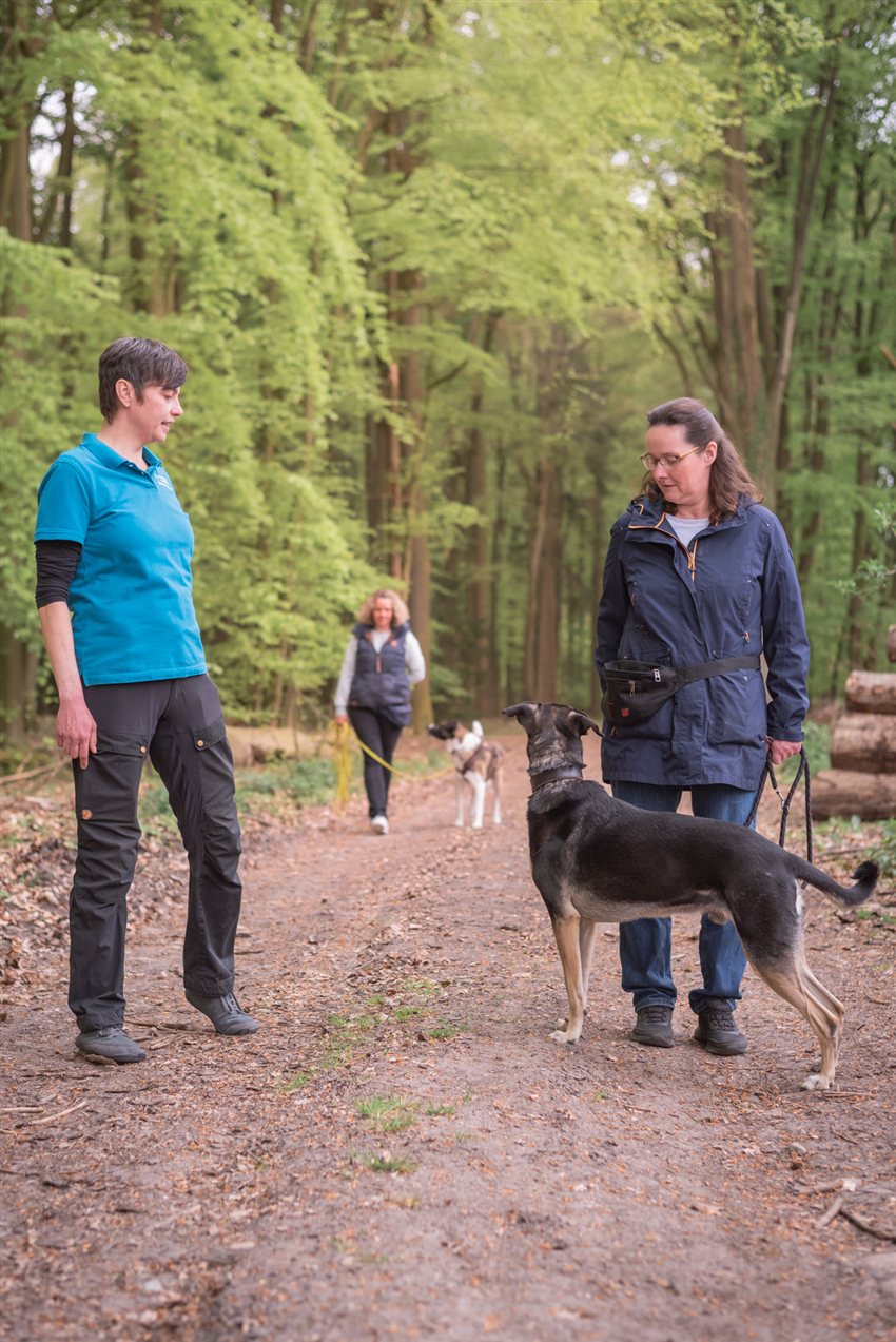 Hundetraining im Wald: Trainerin bespricht mit einer Kundin und ihrem Hund die nächste Übung