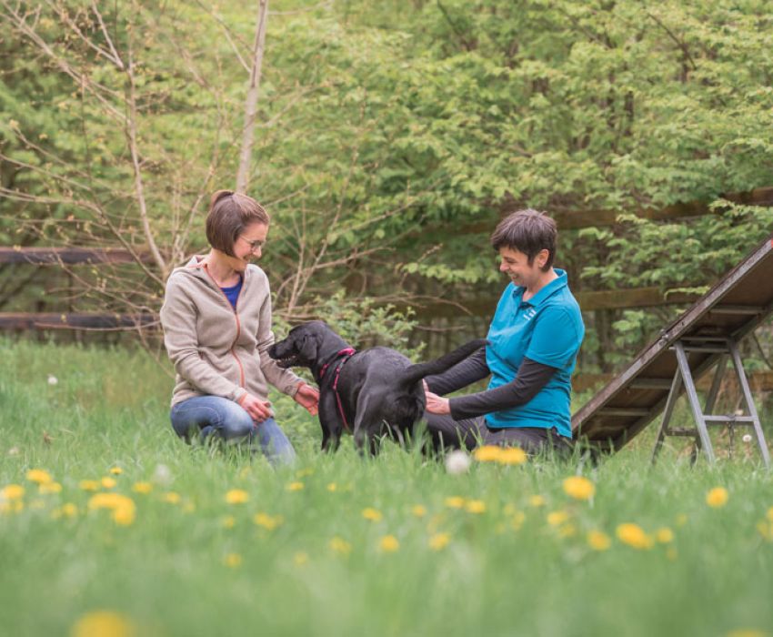 Trainingsurlaub für Hundetrainer:innen in der Lüneburger Heide: Training mit dem eigenen Hund