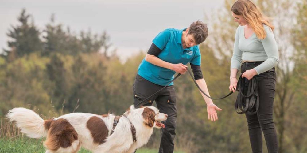 Dein Hundetrainer Coach - Seminare und Weiterbildung - Teaserbilder für Blogbeiträge