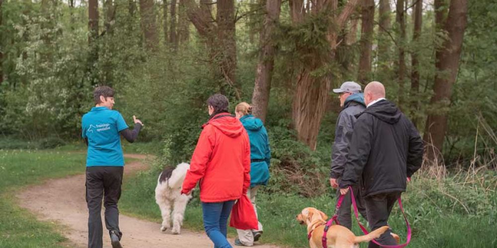 Dein Hundetrainer Coach - Seminare und Weiterbildung - Teaserbilder für Blogbeiträge
