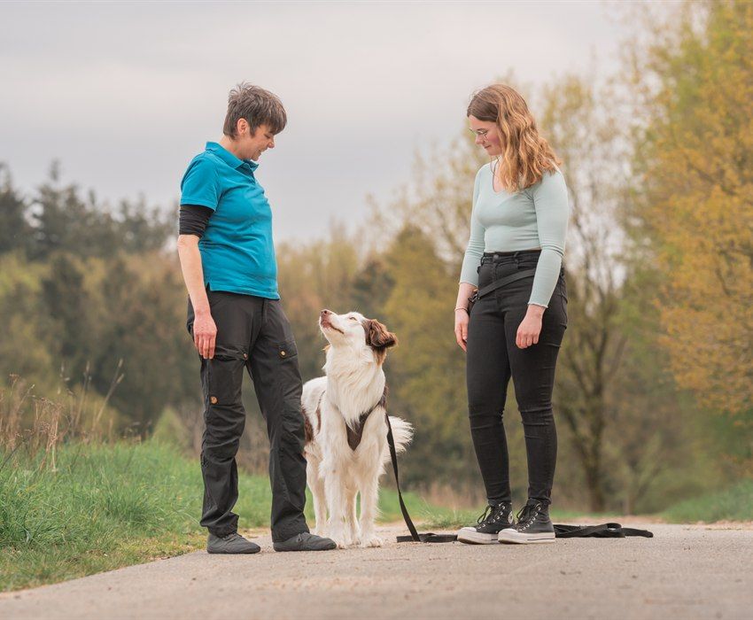 Jobshadowing für Hundetrainer:innen: Christin Gotzen und eine Trainerin mit Hund auf einem Feldweg