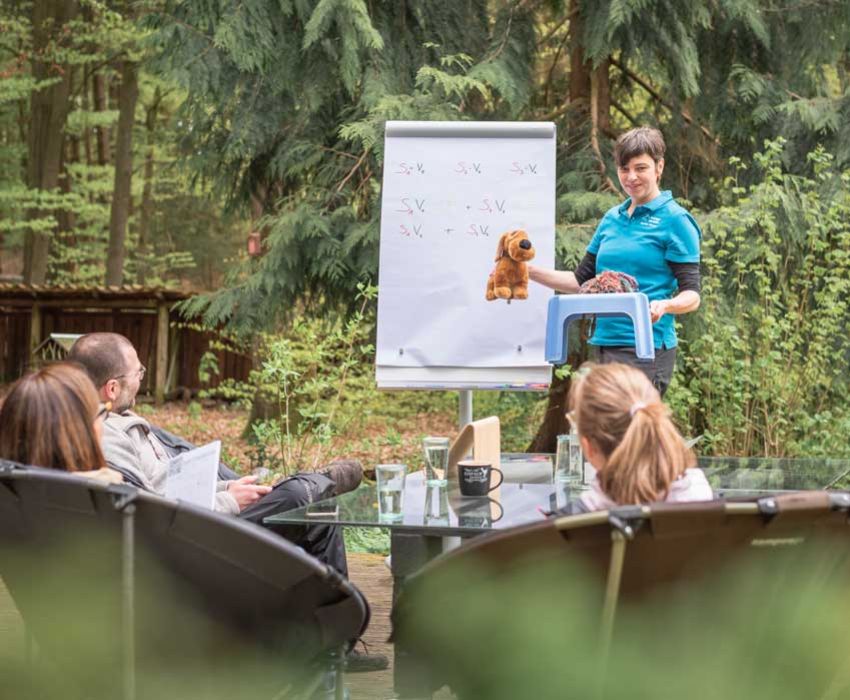 Praxis Workshops Weiterbildung für Hundetrainer Coaching Seminar mit Gruppe und Trainingsplanung